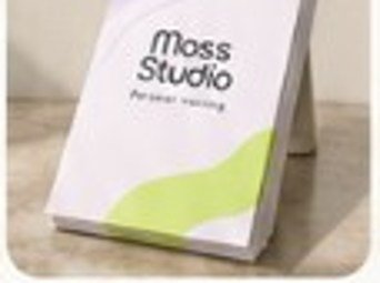 Moss Studio concept example: 250 flyers